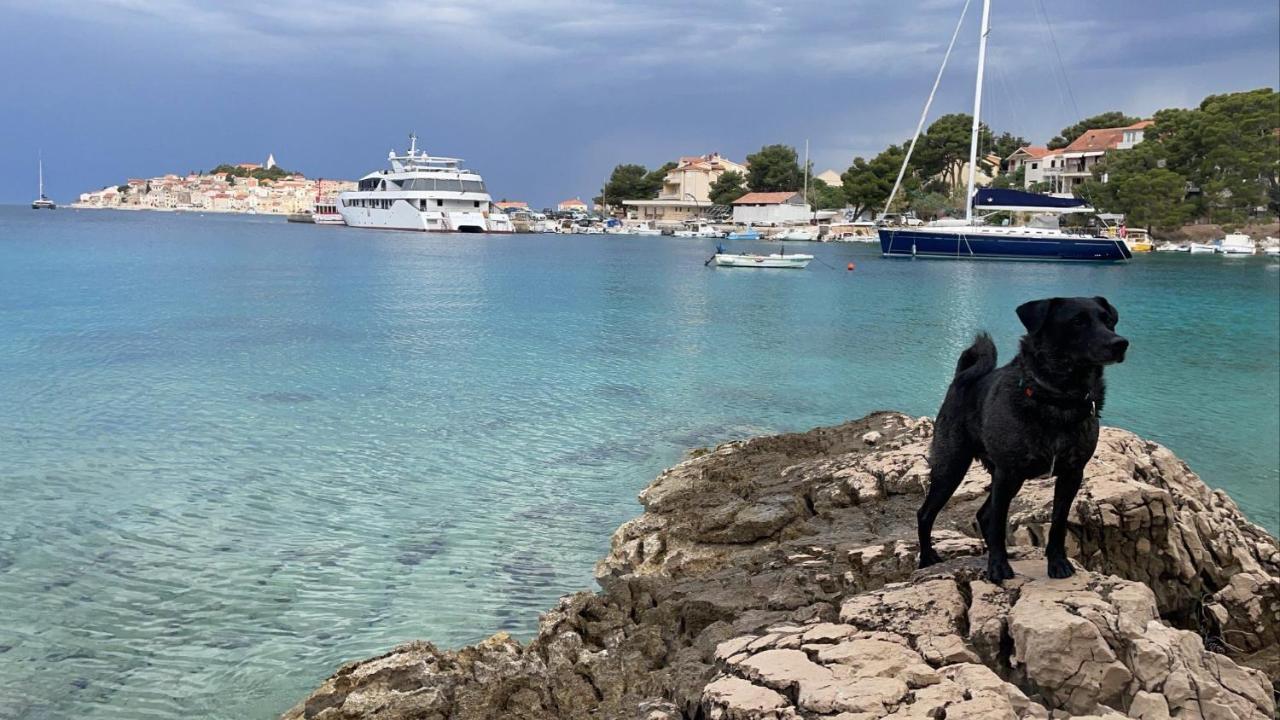 Ferienwohnung Stonewood Dalmacija Primošten Exterior foto